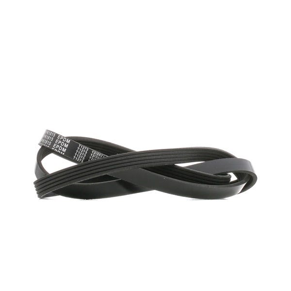 Multiriem (5PK1815) E36 E34 E39 (WP+DYN)