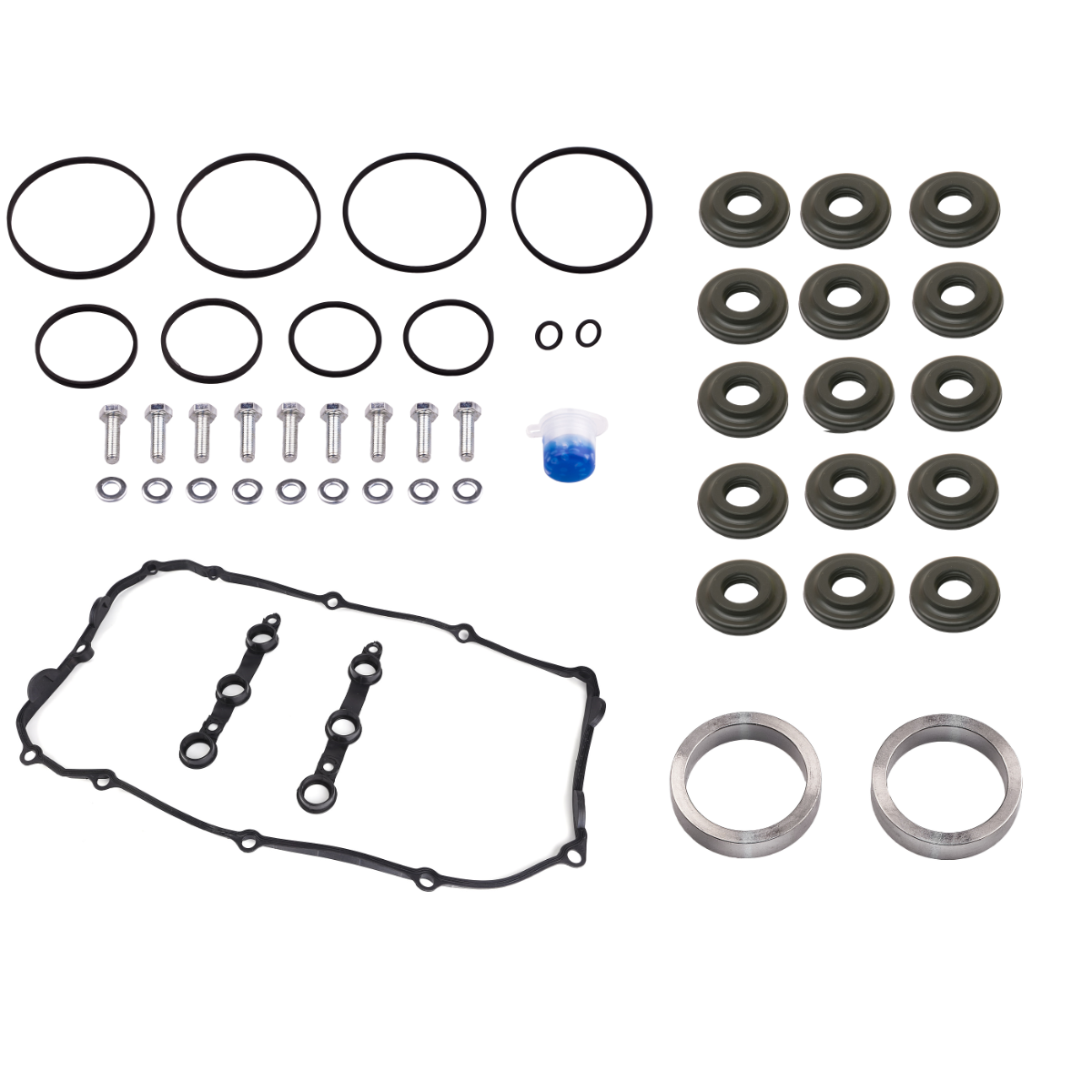 Dubbele vanos seals met ratelring M52/54