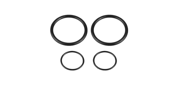 BMW N42/N46 Vanos solenoid Seals